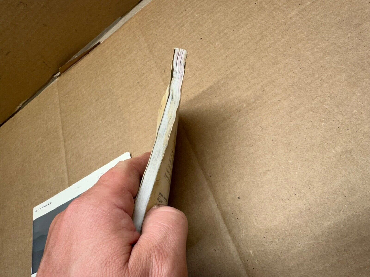 44417884