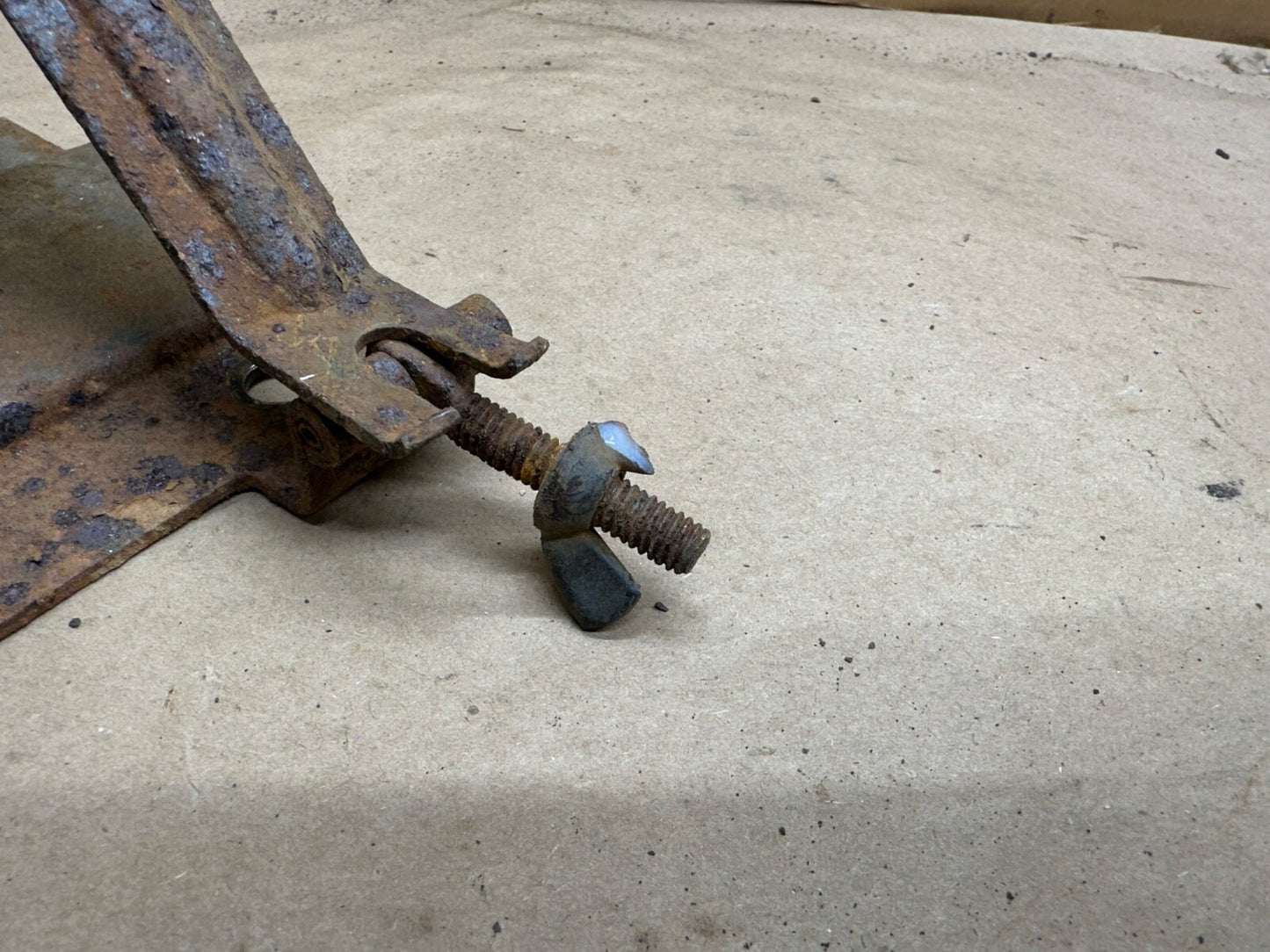 45195746