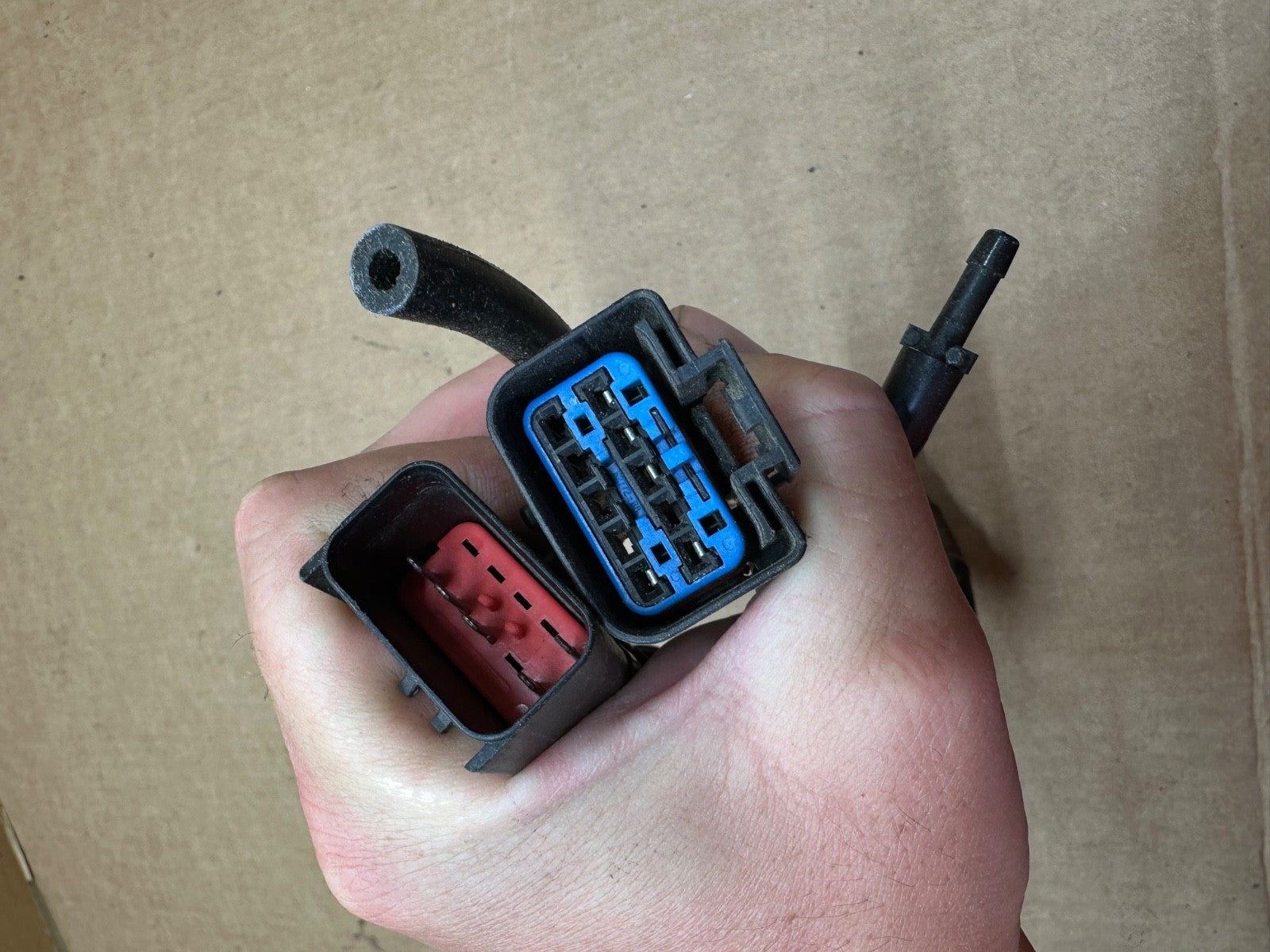 45707356