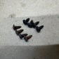 Jeep Wrangler YJ CJ 81-95 Set 8 Torx Mounting Screws Door Striker Latch Pin OEM
