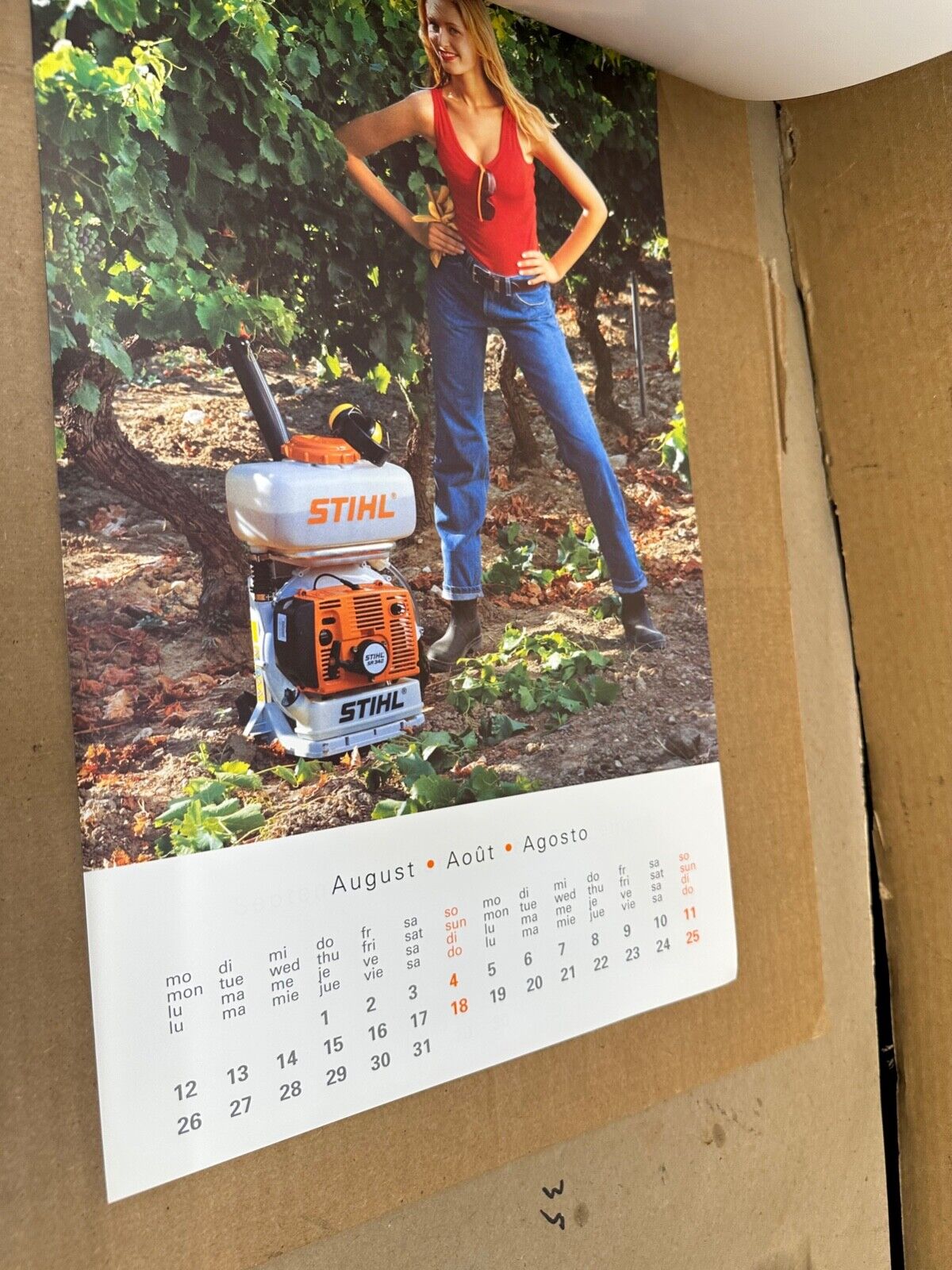 2002 STIHL Wall Calendar Girl Girls Chainsaw Weedwacker Power tools 02 Complete