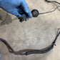 1995 Jeep Cherokee XJ 95 Rear Side Body Wiring Harness Factory Back Wire Factory