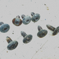 Jeep Wrangler YJ CJ 81-95 Set 8 Torx Mounting Screws Door Striker Pin Mount Bolt