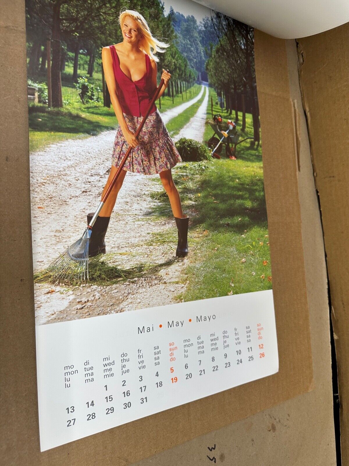 2002 STIHL Wall Calendar Girl Girls Chainsaw Weedwacker Power tools 02 Complete