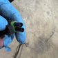1995 Jeep Cherokee XJ 231 AW4 Transfer Case Transmission Wiring T case 95 np231