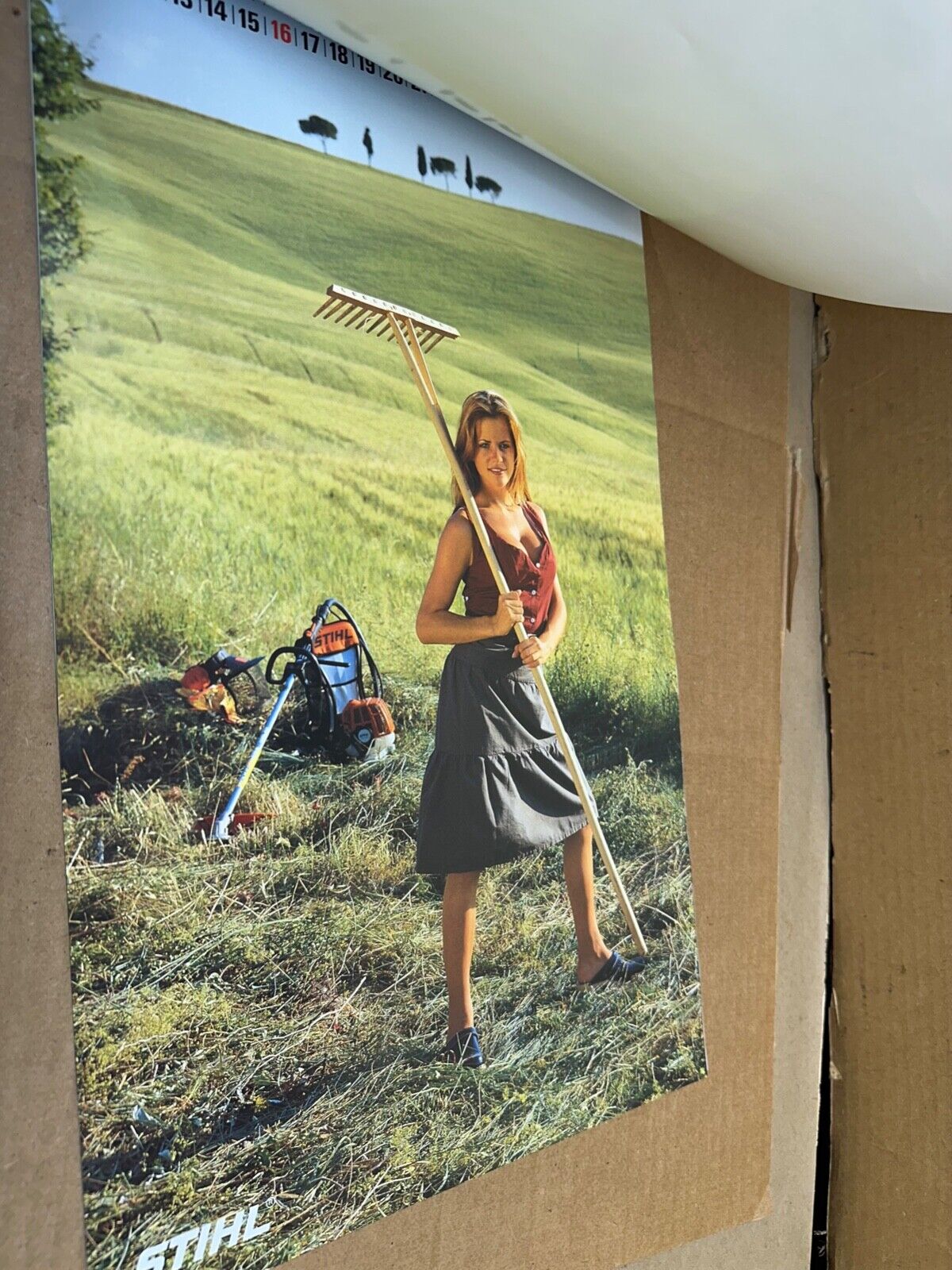 2001 STIHL Wall Calendar Girl Girls Chainsaw Weedwacker Power tools 01 Complete