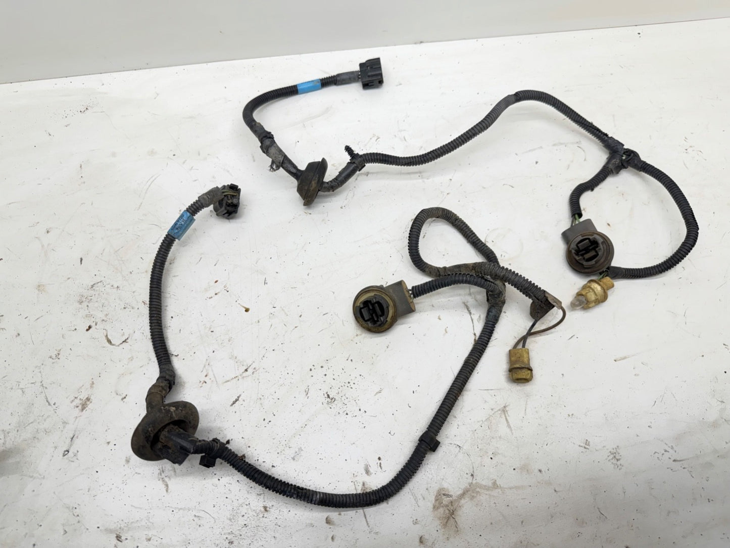 Jeep Wrangler TJ 97 ONLY Grille Headlight Wire Harness Wiring 1997 Head Light OE