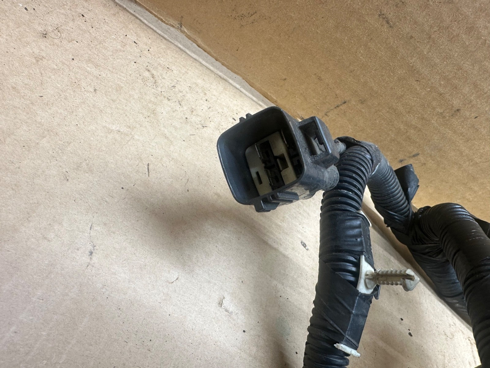 45509648