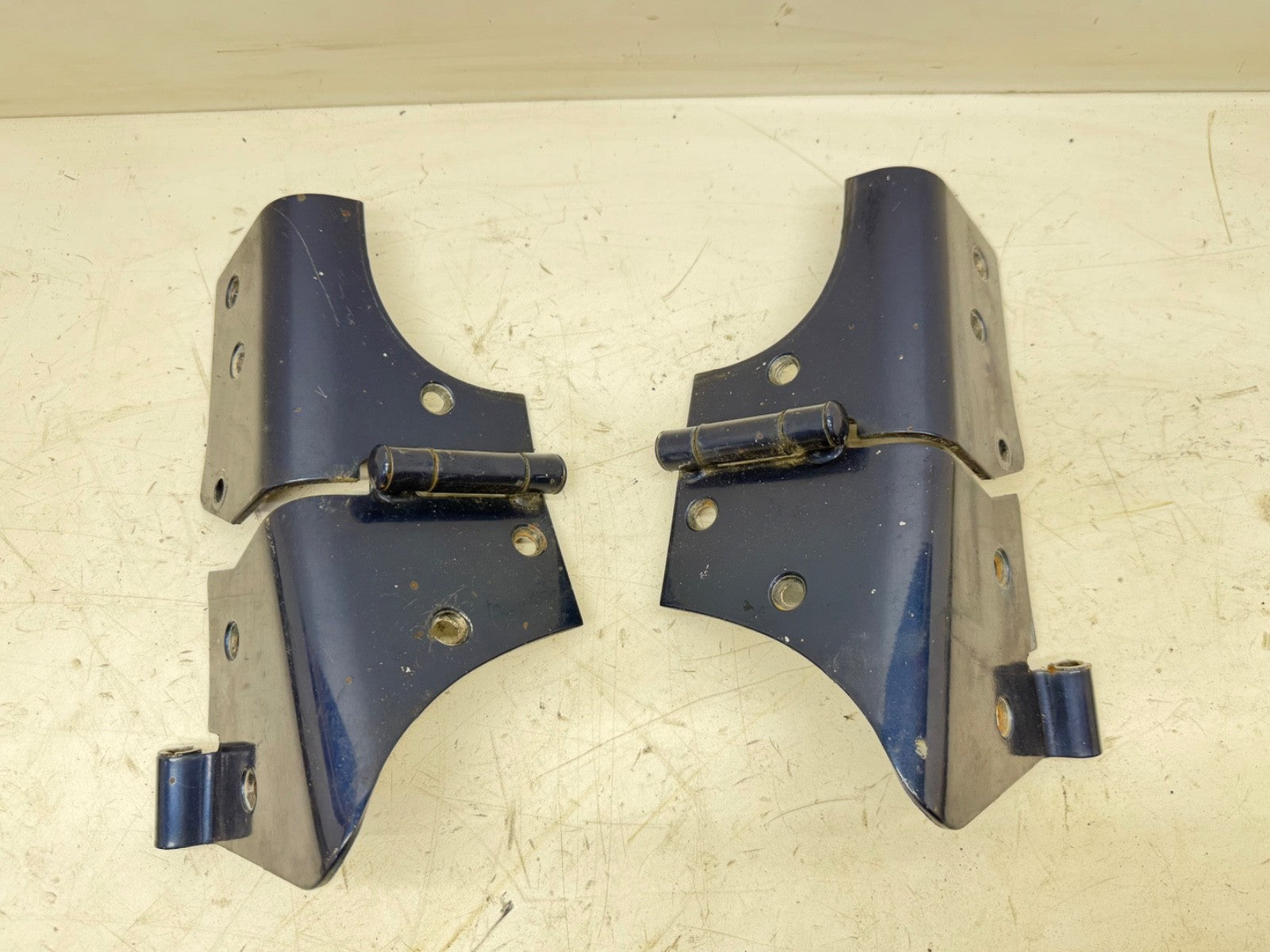 Windshield Frame Hinges Hinge Pair for Jeep Wrangler TJ 97-06 Factory OEM Blue