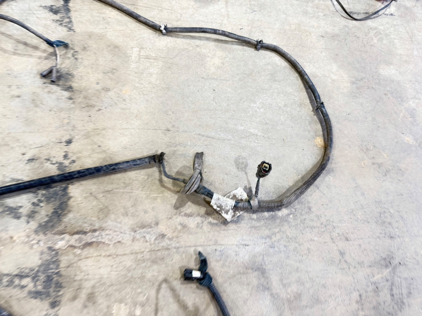 98-02 Jeep TJ Tail Light Wiring Harness Wire connector Wrangler 56010164AD